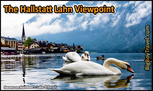 Free Hallstatt Walking Tour Old Town - Lahn City Viewpoint Swans