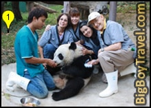 Getting To Wat Doi Suthep From Chiang Mai Map, Zoo Panda
