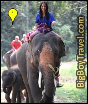 Best Elephant Camps near Chiang Mai in the Jungle Trekking Riding