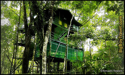 Best Treehouse Hotels In The World, Top 10, Ariau Amazon Towers Brazil