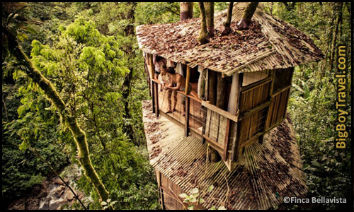 Best Treehouse Hotels In The World, Top 10, Finca Bellavisita Costa Rica