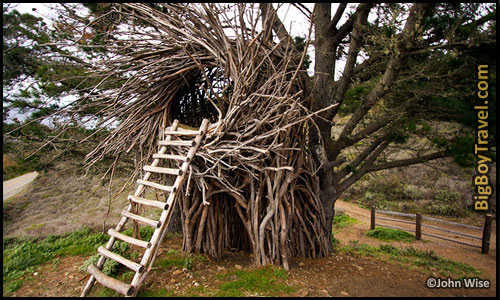 Best Treehouse Hotels In The World, Top 10, Human Nest California