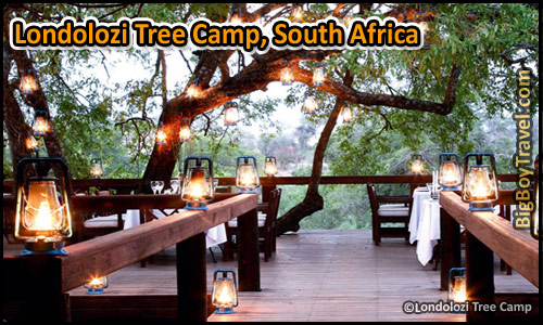 Best Treehouse Hotels In The World, Top 10, Londolozi Tree Camp South Africa