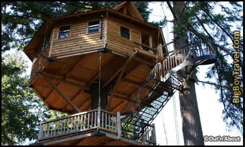Best Treehouse Hotels In The World, Top 10, Out'n'About Treesort Oregon