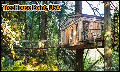 Best Treehouse Hotels In The World, Top 10, TreeHouse Point Pete Nelson Washington