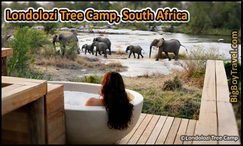 Coolest Hotels In The World, Top Ten, Londolozi Tree Camp South Africa