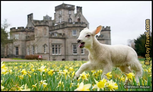 Most Amazing Castle Hotels In The World, Top Ten, Winton House Mansion Scotland
