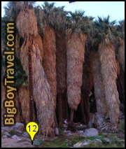 Salton Sea California Top Things To Do, Palm Canyon