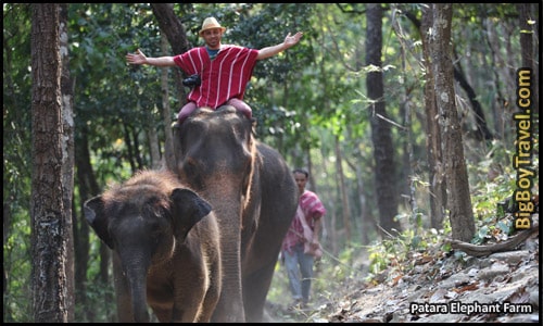 Top Ten Things To Do In Chiang Mai - Elephant Camp Treks