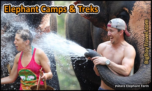 Top Ten Things To Do In Chiang Mai - Elephant Camp Treks
