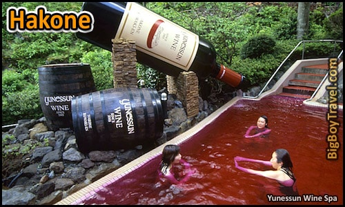 Top Day Trips From Tokyo Japan, Best Side - Hakone Wine Spa Onsen
