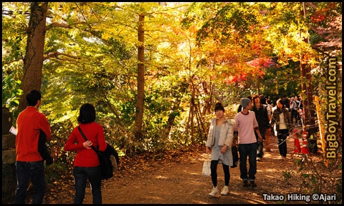 Top Day Trips From Tokyo Japan, Best Side - Mount Takao Hiking