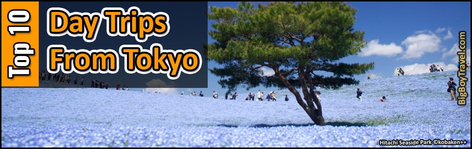 Top Day Trips From Tokyo Japan - Best Side