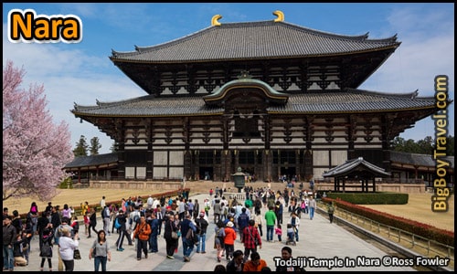 Top 10 Best Day Trips From Kyoto Japan - Nara Temple Big Buddha