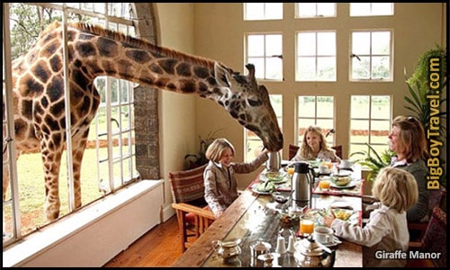 Top 10 Coolest Hotels In The World, - Giraffe Manor Kenya Breakfast