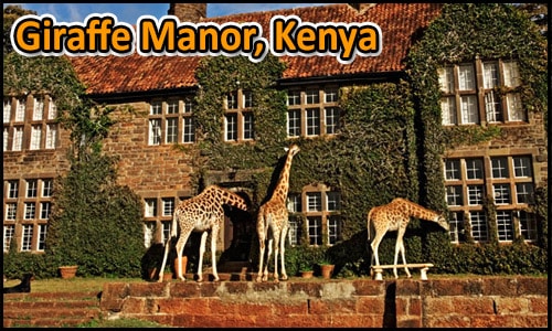 Top 10 Coolest Hotels In The World, - Giraffe Manor Kenya