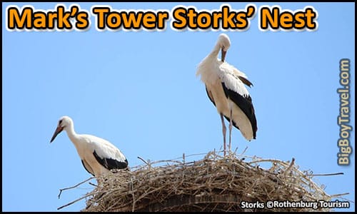 top ten hidden gems in rothenburg germany must see - Marks Tower Storks Bird Nest