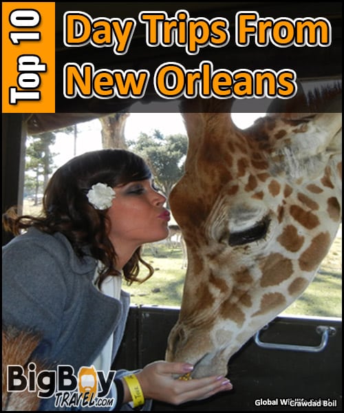 top ten best day trips from new orleans with a car